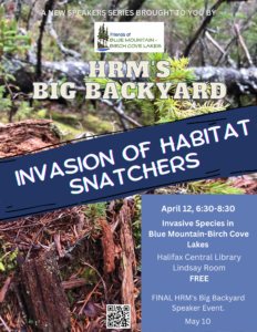 Invasion of Habitat Snatchers:   A look inside BMBCL