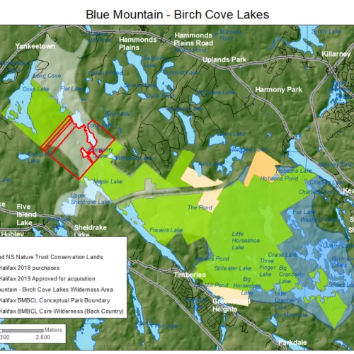 Council rejects staff recommendation, agrees to $750,000 for Blue Mountain-Birch Cove Lakes land purchase