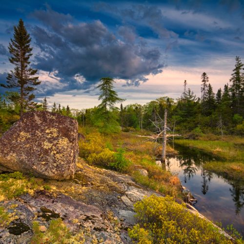 Barrens and small brook flowing between Fox and Quarry lakes      bcl#1093-sb
Blue Mountain-Birch Cove Lakes Wilderness, Halifax, Nova Scotia, Canada
An unprotected, endangered section of this wilderness area.