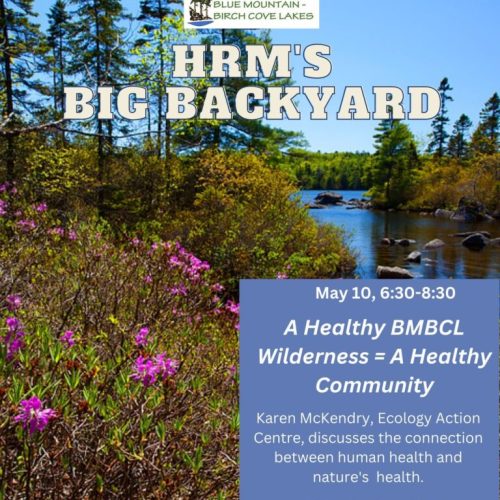 A Healthy BMBCL Wilderness = A Healthy Community