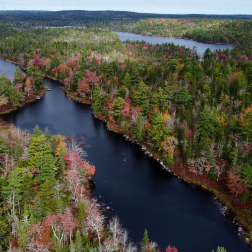 Acquisition of Blue Mountain Connector Property A Big Piece Of Wilderness Park Puzzle