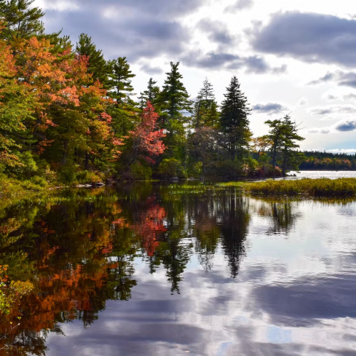 Future Is Now For Halifax Area Blue Mountain-Birch Cove Lakes Regional Wilderness Park