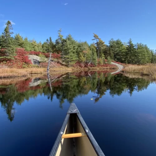 Planning for national urban park at Blue Mountain-Birch Cove Lakes moves to next stage