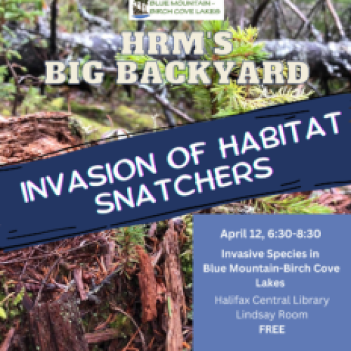 Invasion of Habitat Snatchers:   A look inside BMBCL