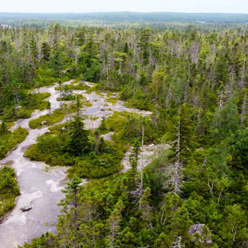 Halifax signs deal with Parks Canada to work toward making Blue Mountain-Birch Cove Lakes urban national park