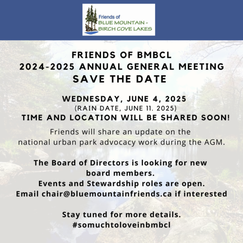 2024-2025 Annual General Meeting