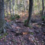 CharliesLakeTrailBoardwalkGone