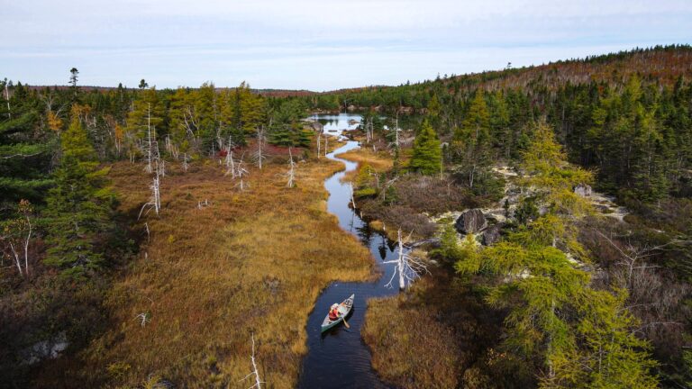 Friends Of Blue Mountain Birch Cove Lakes Urban Wilderness Area