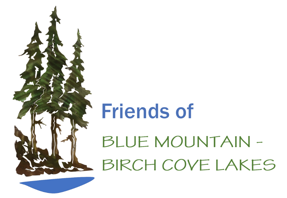 Friends of Blue Mountain & Birch Cove Lakes