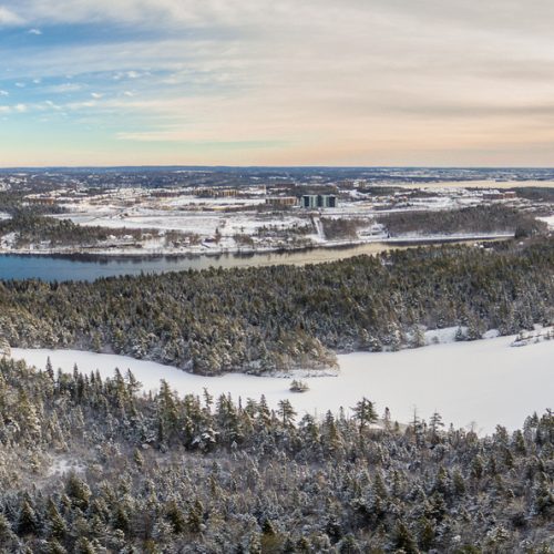 Position Paper: Blue Mountain Birch Cove Lakes National Urban Park Candidate