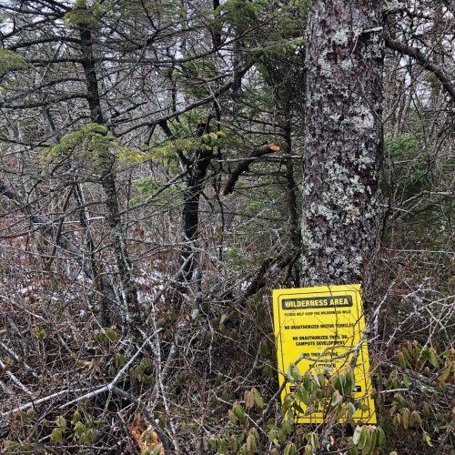 Response to Phase 4 Regional Plan Review