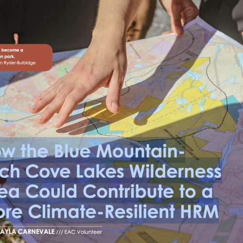 How the Blue Mountain-Birch Cove Lakes Wilderness Area Could Contribute to a More Climate-Resilient HRM