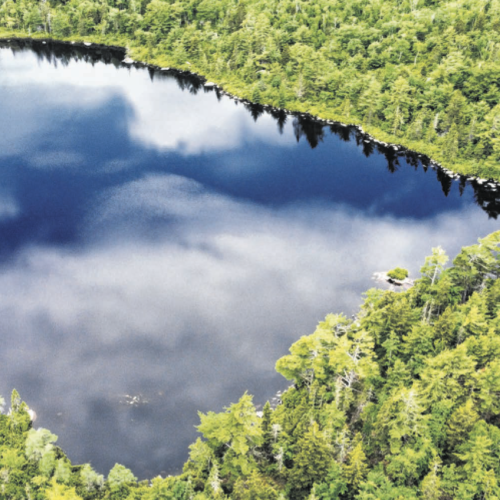 Urban Park Important For Development