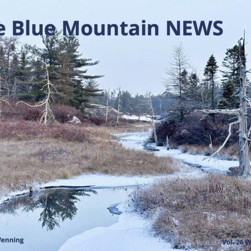 Blue Mountain News – Winter 2026