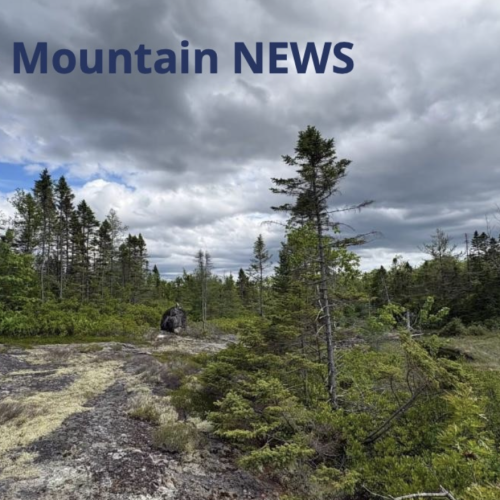 Blue Mountain News – Summer 2026